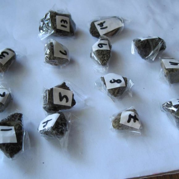 Costa Rican Hot Spring Volcanic Rocks Costa Rica Jungle Volcano Choose Variation - Picture 15 of 16